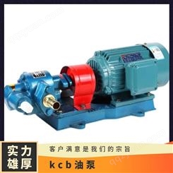 化工、石油精细染料 货号KCB 压力0.12-32mpa kcb油泵