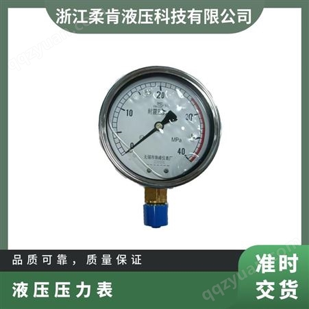 珠峰 液压压力表YN60 YNXC100(25) YN1001.6 YNXC100 YN150多种型号